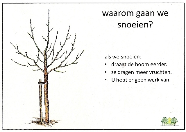 vruchtbomen snoeien